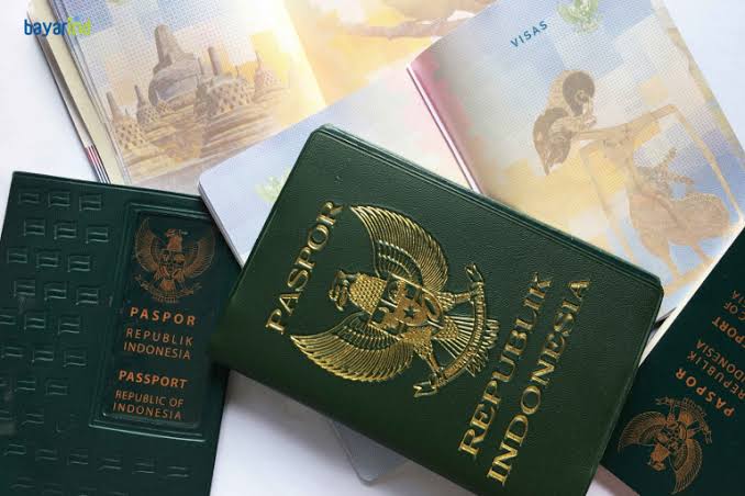 Pasport dan visa